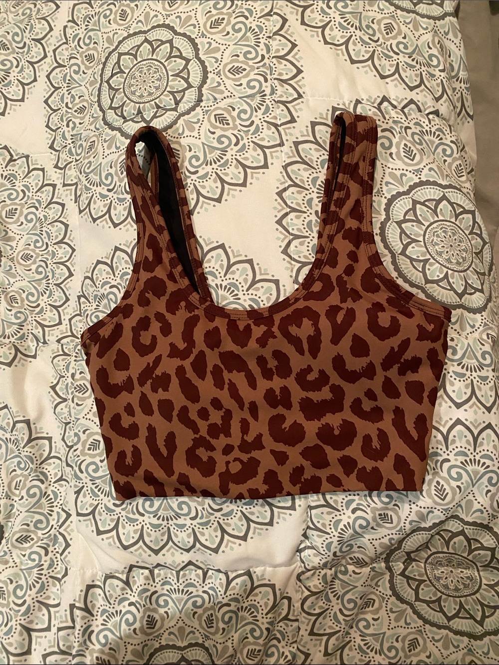 Balance Athletica Ascend Sports Bra